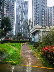 安庆市宜秀区元山路祥和南苑3幢1单元1102室房产转让公告(国资监测编号GR2026AH2003033)