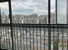 长沙市雨花区人民东路168号左岸右岸2号栋1906住宅房地产(国资监测编号GR2026HN1003810)