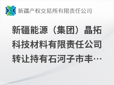 新疆能源（集团）晶拓科技材料有限责任公司转让持有石河子市丰拓硅材料科技有限公司55.17%股权