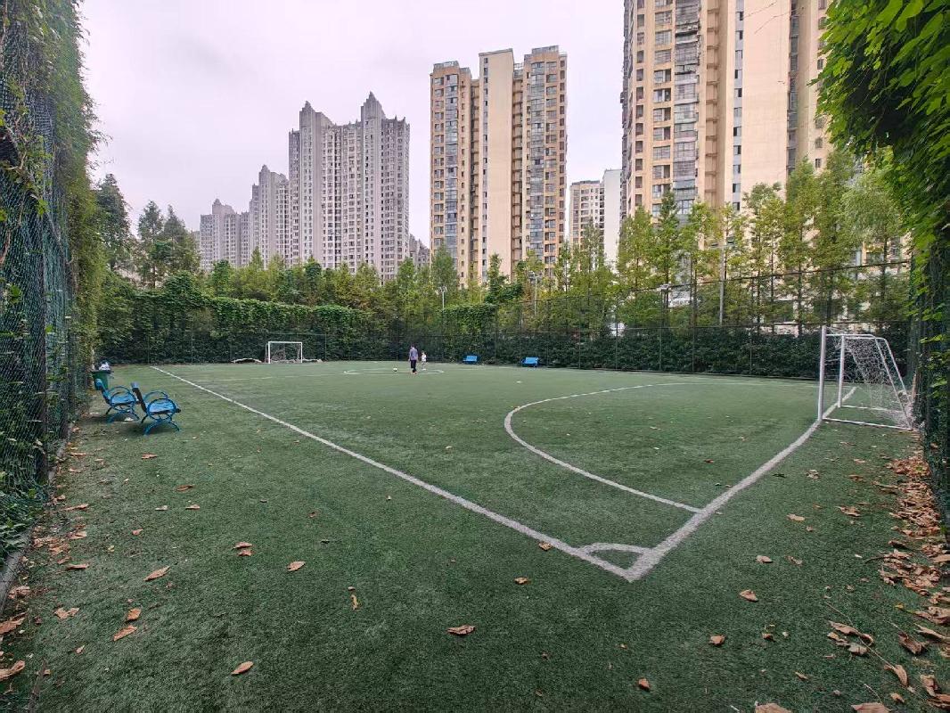 常州市钟楼区三堡街见义勇为主题公园内足球场场地招租公告(国资监测编号GR2026JS2003993)