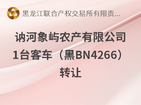 [齐齐哈尔市]讷河象屿农产有限公司1台客车（黑BN4266）转让交易公告