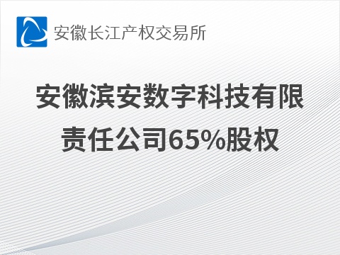 安徽滨安数字科技有限责任公司65%股权转让预公告