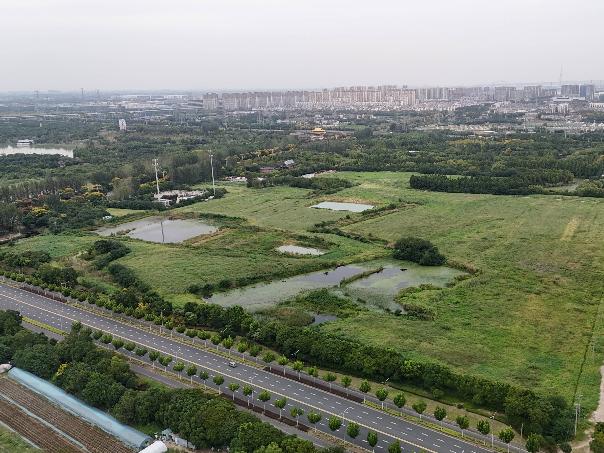 北海路北侧地块招租公告