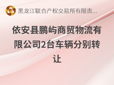 依安县鹏屿商贸物流有限公司2台车辆（黑BY9879、黑BY9819）分别转让交易公告