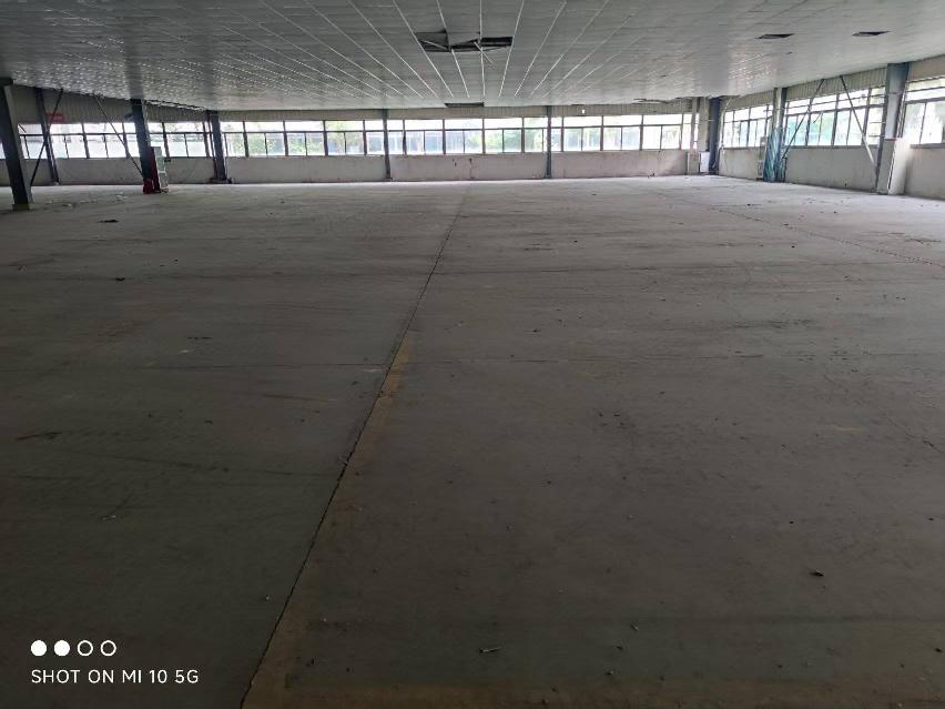 江苏长青休闲用品有限公司海口路60号长青工业园1号厂房部分区域公开出租(国资监测编号GR2026JS5004001)