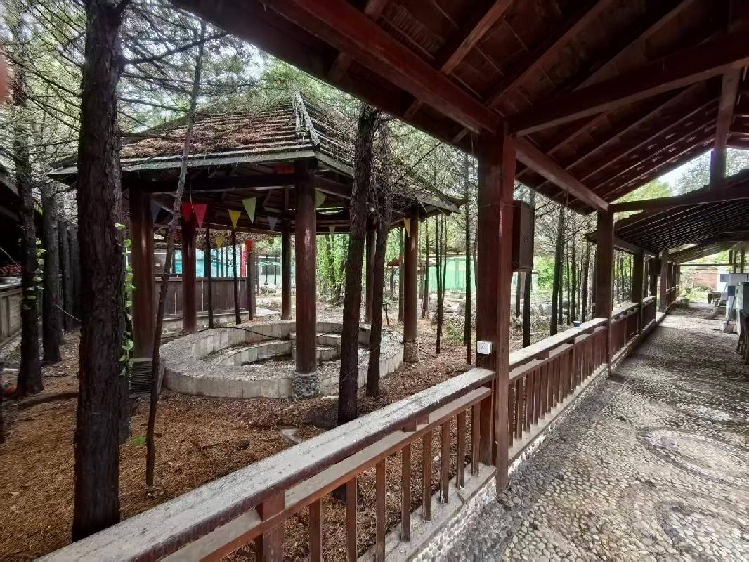 凉城县岱海旅游区一处土地及地上建筑物公开转让（凉城县人民政府国有资产监督管理委员会）(国资监测编号GR2026NM1004780)