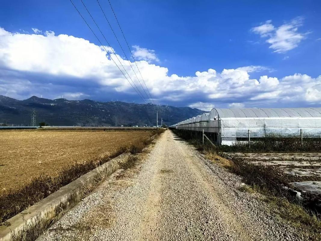 红河州蒙自市草坝镇第二宗土地租赁(国资监测编号GR2026YN1001071)
