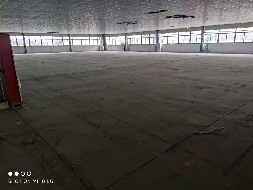 江苏长青休闲用品有限公司海口路60号长青工业园1号厂房部分区域公开出租(国资监测编号GR2026JS5004001)