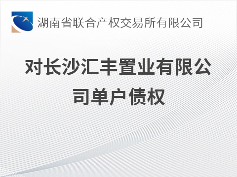 对长沙汇丰置业有限公司单户债权(国资监测编号GR2026HN1003839)