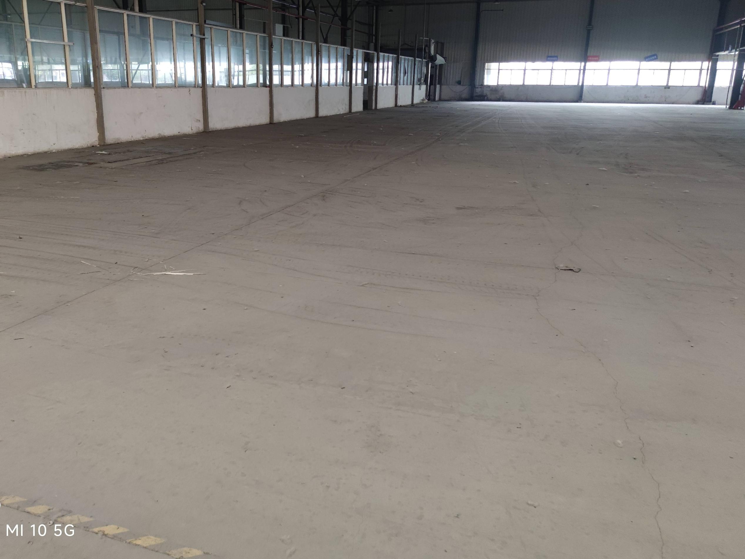 江苏长青休闲用品有限公司海口路60号长青工业园6号厂房部分区域公开出租(国资监测编号GR2026JS5004000)