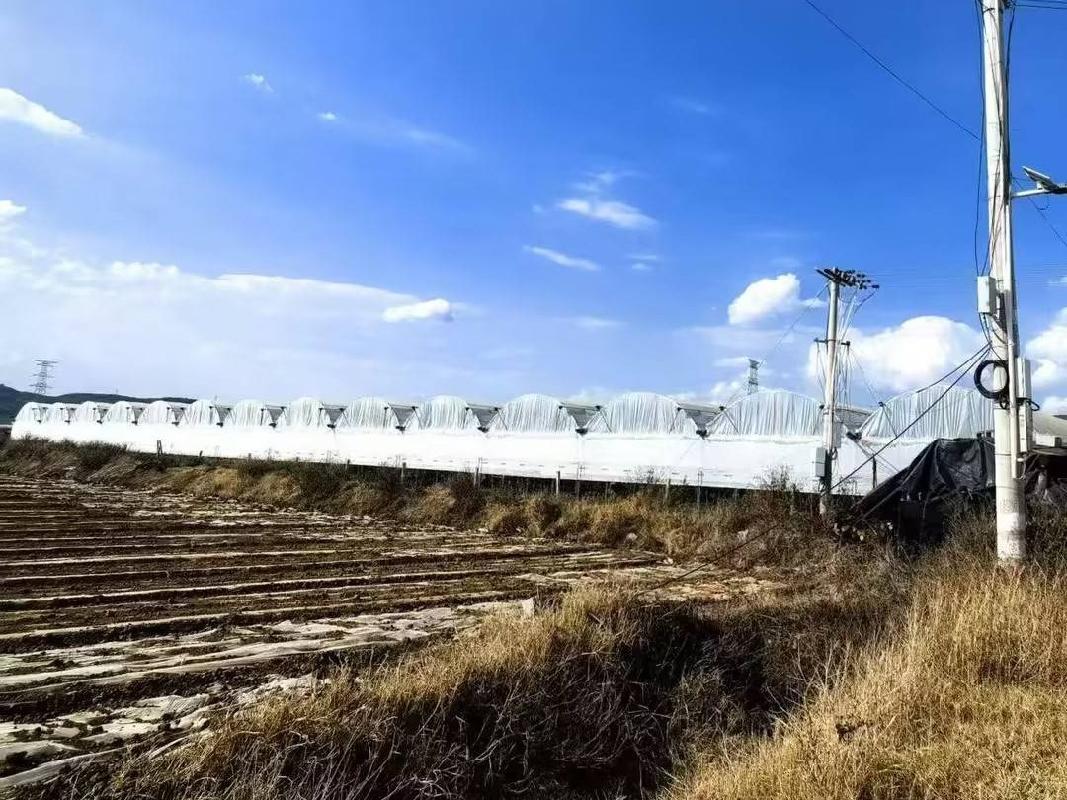 红河州蒙自市草坝镇第二宗土地租赁(国资监测编号GR2026YN1001071)