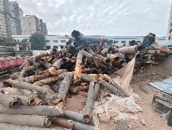 天水典盛热力有限责任公司废旧供热钢管一批转让公告(国资监测编号GR2026GS1001656)