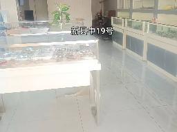 洪泽区新县中19号商铺招租公告