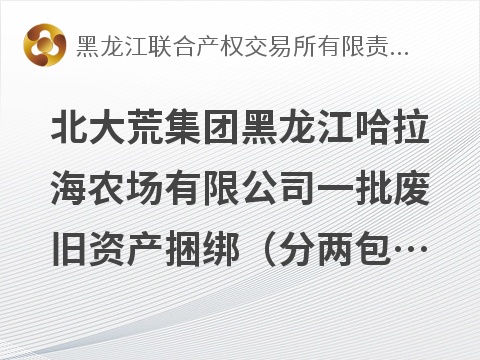 北大荒集团黑龙江哈拉海农场有限公司一批废旧资产捆绑（分两包）转让交易公告