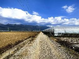 红河州蒙自市草坝镇第二宗土地租赁(国资监测编号GR2026YN1001071)