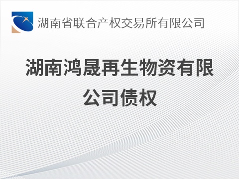 湖南鸿晟再生物资有限公司债权(国资监测编号GR2026HN1003831)