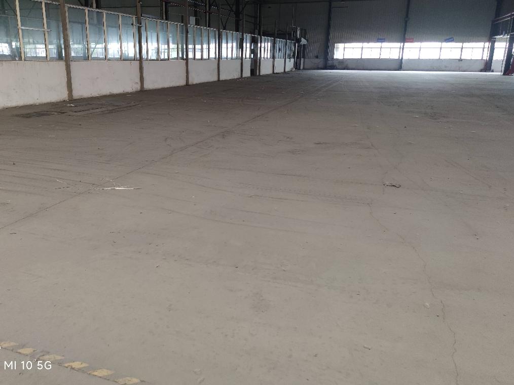 江苏长青休闲用品有限公司海口路60号长青工业园6号厂房部分区域公开出租(国资监测编号GR2026JS5004000)