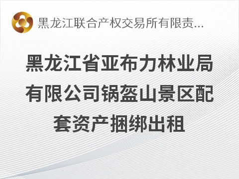 黑龙江省亚布力林业局有限公司锅盔山景区配套资产捆绑出租交易公告(国资监测编号GR2026HL2006732)