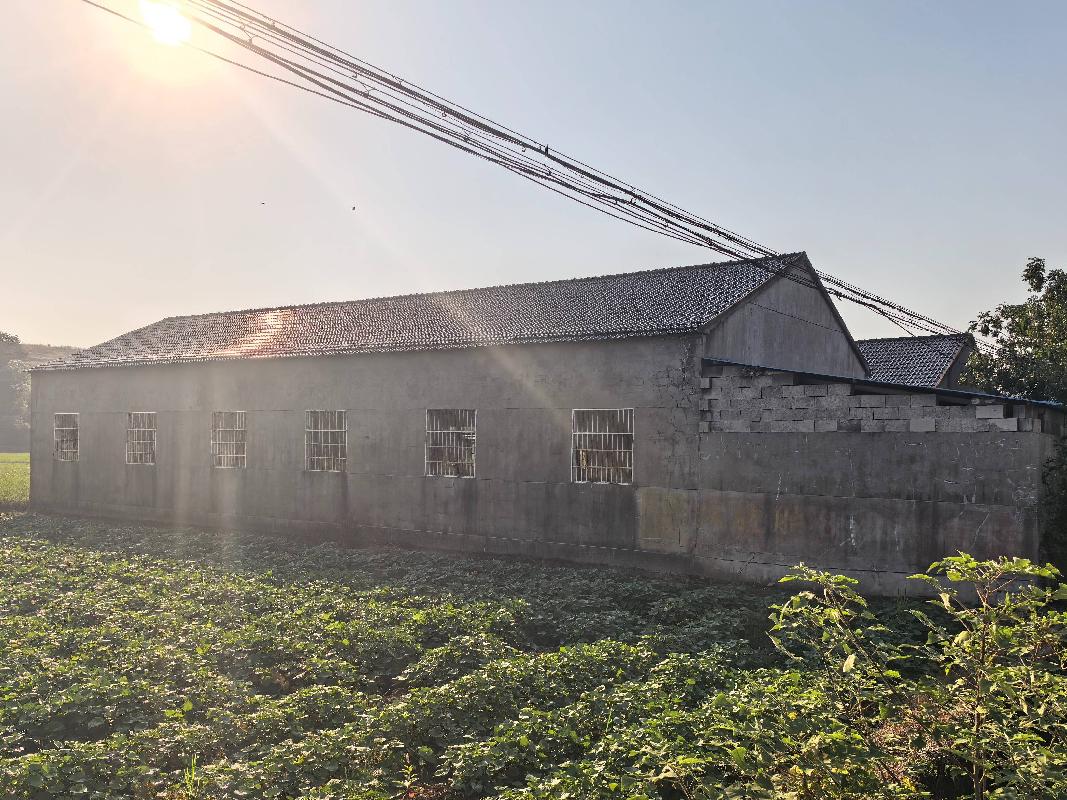 衢江区莲花镇杜山沿村农产品包储用房公开挂牌招租