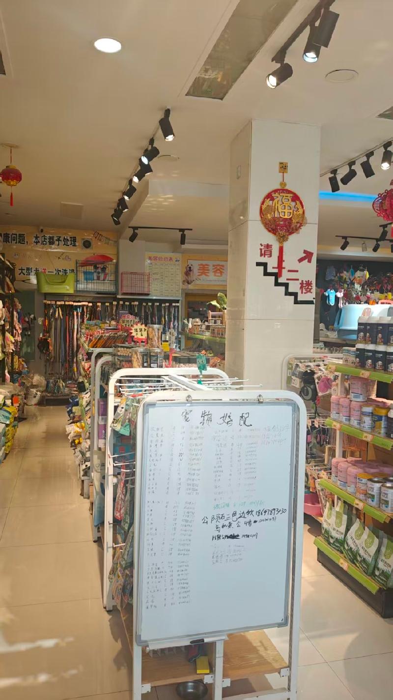 内蒙古巴彦淖尔临河区先锋办事处十六街坊新华西街南侧住宅资产转让项目