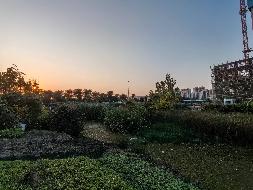 无为市福渡镇东部新城（2023-6号地块）土地使用权转让公告(国资监测编号GR2026AH2003118)