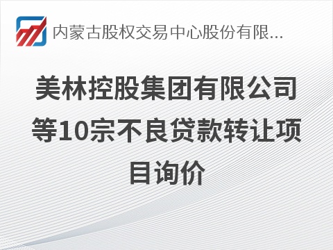 美林控股集团有限公司等10宗不良贷款转让项目询价