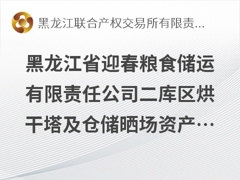 黑龙江省迎春粮食储运有限责任公司二库区烘干塔及仓储晒场资产捆绑出租交易公告(国资监测编号GR2026HL2006794)