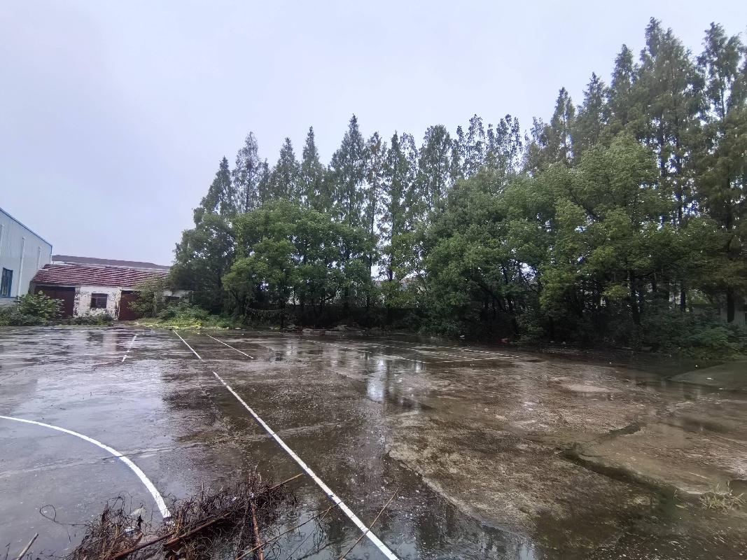 无为市福渡镇福渡街道原农机局房屋及场地出租公告(国资监测编号GR2026AH2003119)