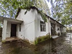 无为市福渡镇福渡街道原农机局房屋及场地出租公告(国资监测编号GR2026AH2003119)