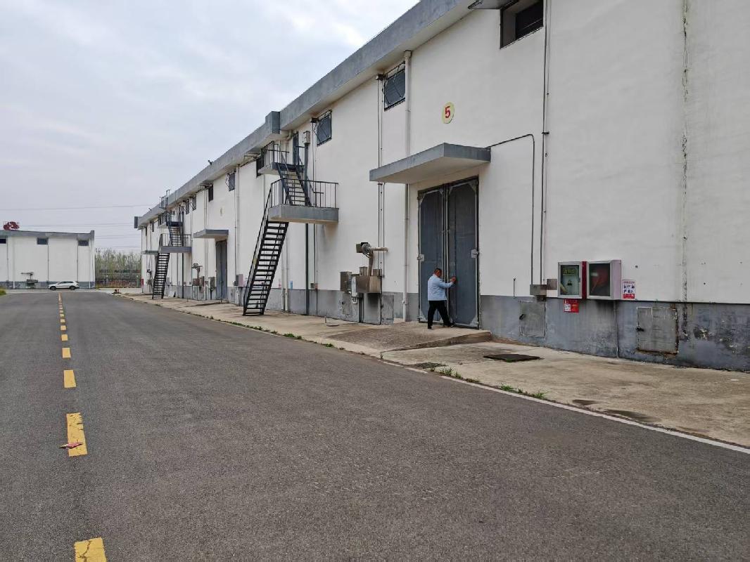 江苏徐州睢宁县庆安镇李集村粮库1-2、5-12号及附属用房招租公告(国资监测编号GR2026JS4004127)