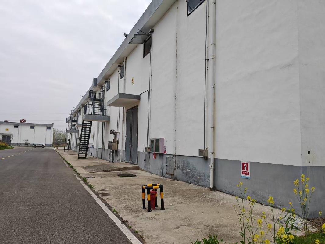 江苏徐州睢宁县庆安镇李集村粮库1-2、5-12号及附属用房招租公告(国资监测编号GR2026JS4004127)