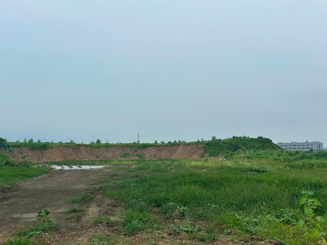 新沂市一批位于开发大道南侧、宠物经济产业园东侧土方转让项目公告(国资监测编号GR2026JS4004204)