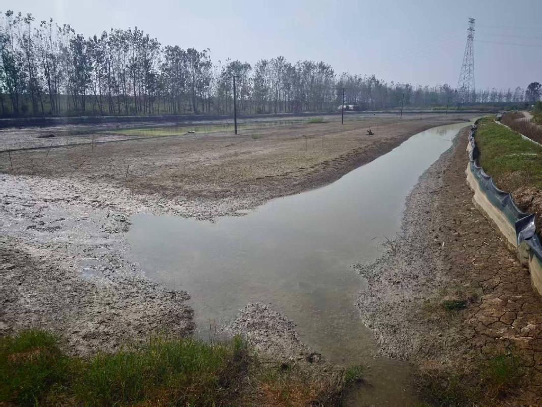 [芜湖市]芜湖市弋江区龙湖街道杨村村长里地块约119.796亩土地经营权出租公告