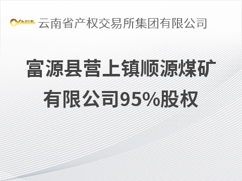 富源县营上镇顺源煤矿有限公司95%股权