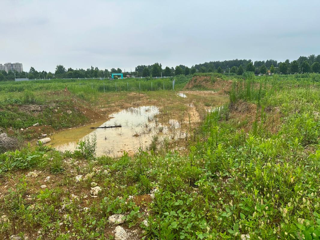 新沂市一批位于开发大道南侧、宠物经济产业园东侧土方转让项目公告(国资监测编号GR2026JS4004204)
