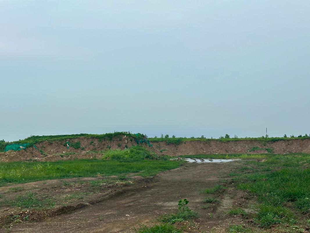 新沂市一批位于开发大道南侧、宠物经济产业园东侧土方转让项目公告(国资监测编号GR2026JS4004204)