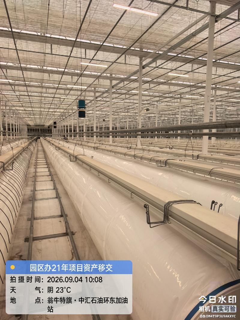 赤峰市翁牛特旗乌丹镇紫城街道管理办公室杨家营子村约32037.71㎡日光棚整体出租（年租金底价874,610.00元，租期3年）(国资监测编号GR2026NM1004860)