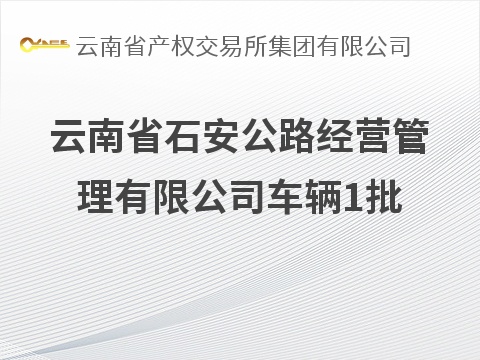 云南省石安公路经营管理有限公司车辆1批(国资监测编号GR2026YN1001087)