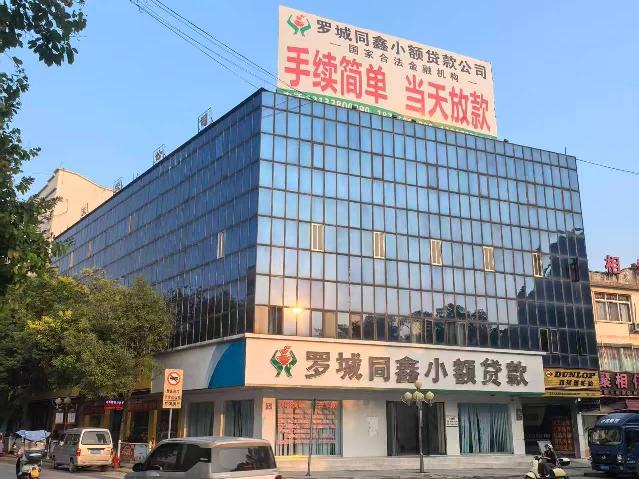 罗城县东门镇解放路沿街资产转让公告