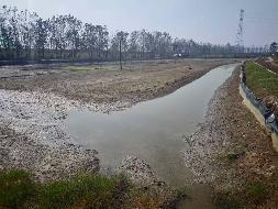 芜湖市弋江区龙湖街道杨村村长里地块约119.796亩土地经营权出租公告