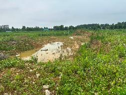 新沂市一批位于开发大道南侧、宠物经济产业园东侧土方转让项目公告(国资监测编号GR2026JS4004204)
