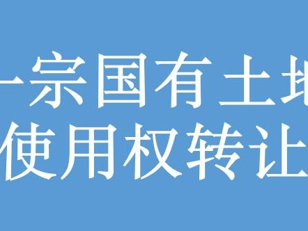 呼市新城区塔利西路以东、规划二街以北一宗国有土地使用权转让（呼市数智产业发展公司）(国资监测编号GR2026NM1004925)
