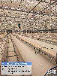 赤峰市翁牛特旗乌丹镇紫城街道管理办公室杨家营子村约32037.71㎡日光棚整体出租（年租金底价874,610.00元，租期3年）(国资监测编号GR2026NM1004860)