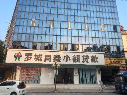 罗城县东门镇解放路沿街资产转让公告