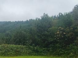开化县池淮镇余田畈村茶山公开挂牌招租