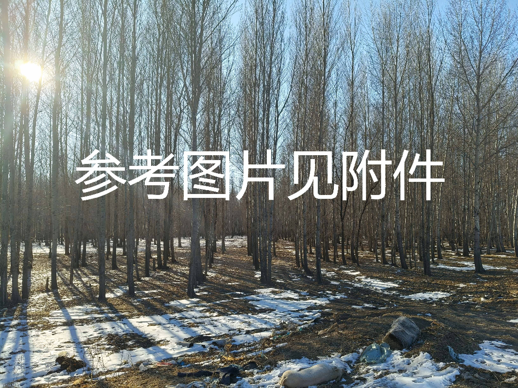 内蒙古农村商业银行突泉支行6宗林地使用权及林木所有权整体转让询价