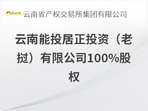 云南能投居正投资（老挝）有限公司100%股权