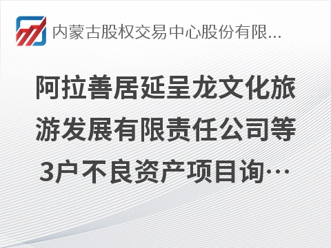 阿拉善居延呈龙文化旅游发展有限责任公司等3户不良资产项目询价