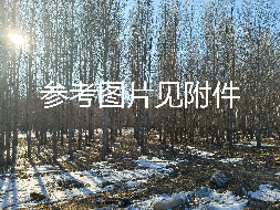内蒙古农村商业银行突泉支行6宗林地使用权及林木所有权整体转让询价