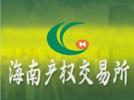 三亚交投特来电充电网运营有限公司40%股权转让(国资监测编号G32026HI1000015)